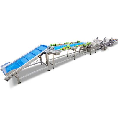 Tipo automático línea del cepillo de transformación de fruta y verdura de la patata