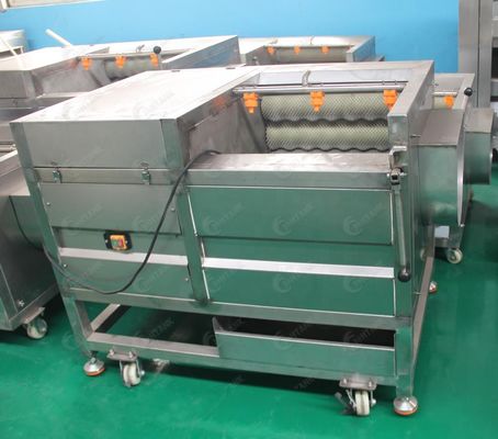 línea de transformación de la verdura de la lavadora de la burbuja de la peladora del rolle de las lanas de la zanahoria 500kg/h y de la verdura de la máquina de la limpieza de la fruta