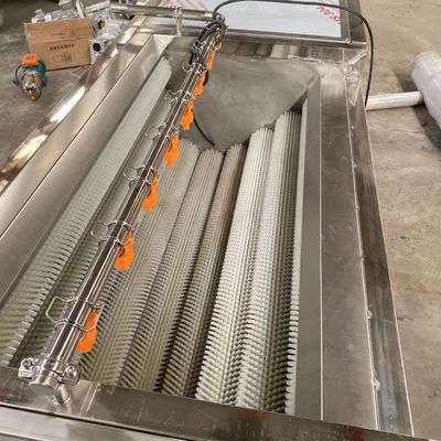 línea de transformación de la verdura de la lavadora de la burbuja de la peladora del rolle de las lanas de la zanahoria 500kg/h y de la verdura de la máquina de la limpieza de la fruta