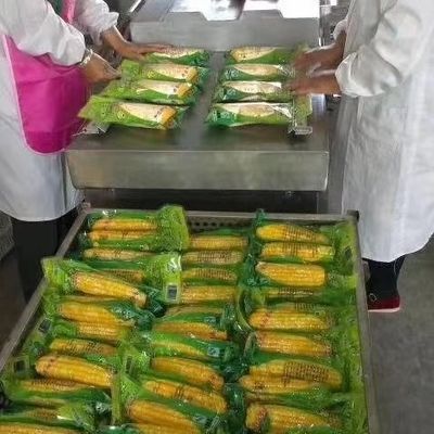 Empaquetadora del vacío de la cámara de la bolsa de plástico, empaquetadora industrial del vacío