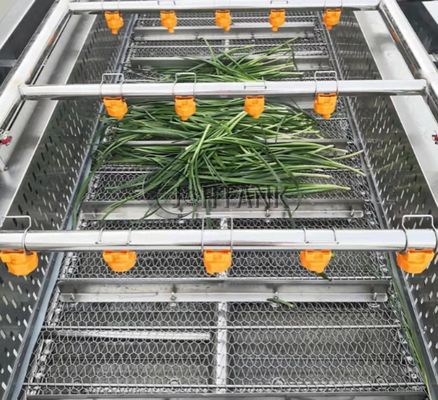 Lavadora de la burbuja SUS304 para la línea de transformación de fruta y verdura