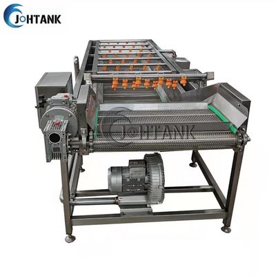 Máquina de limpieza automática industrial del lavado de la verdura y de la fruta para la ensalada del tomate
